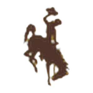 Wyoming logo