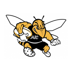 American International logo