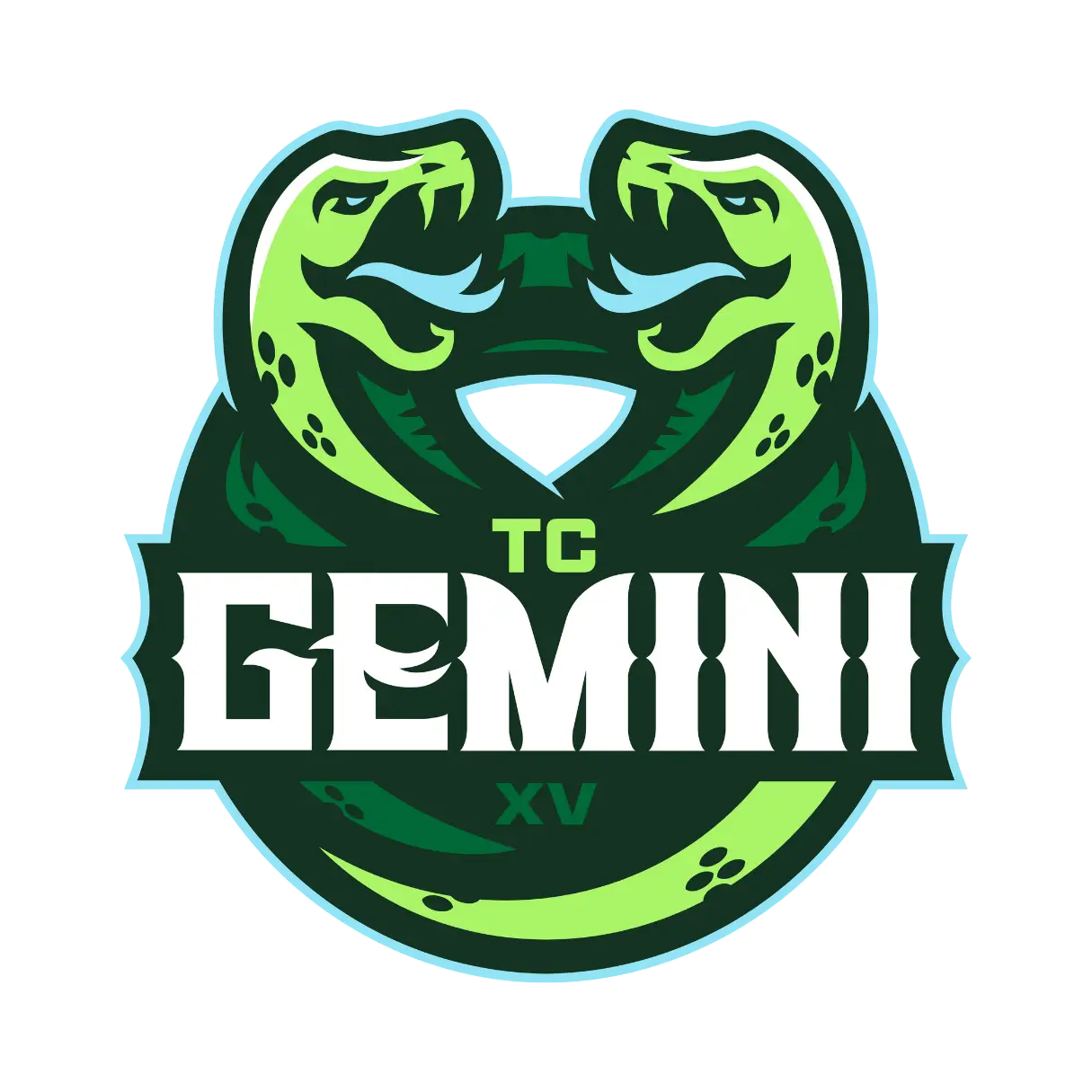 TC Gemini