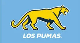 Argentina rugby